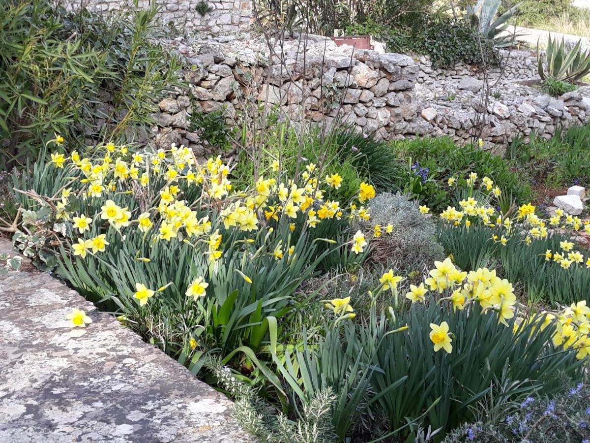 Holiday Home Villa Esperanca Veli Lošinj Eksteriør bilde