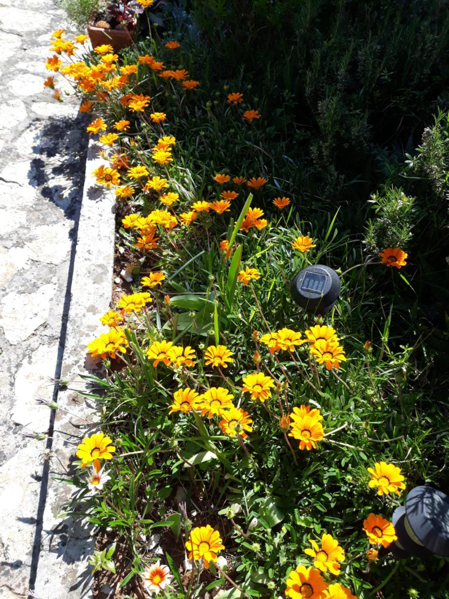Holiday Home Villa Esperanca Veli Lošinj Eksteriør bilde